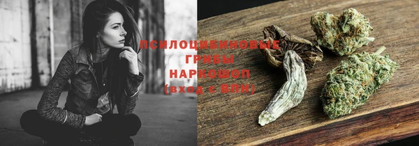 эйфоретик Баксан