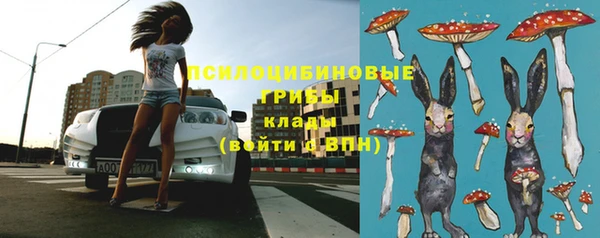 spice Балабаново