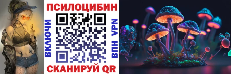 Псилоцибиновые грибы мицелий  дарнет шоп  KRAKEN онион  Ельня 